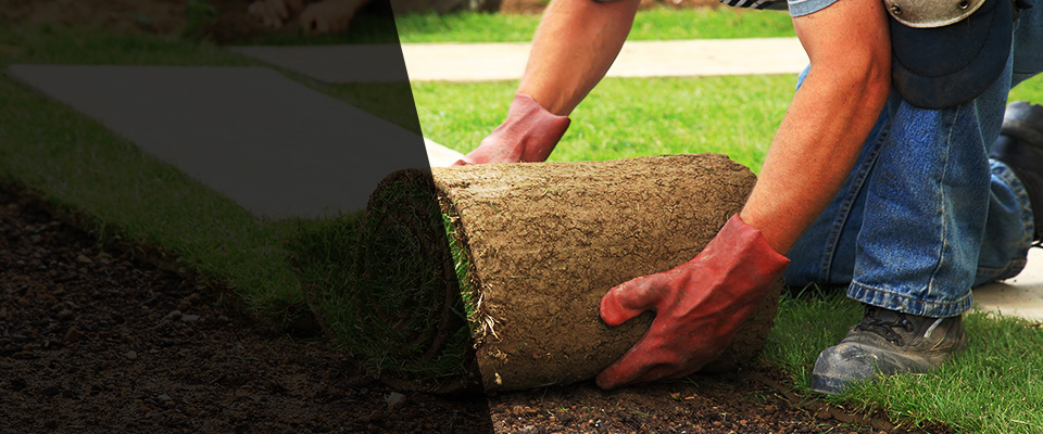 Hazen Landscapers